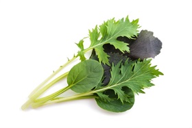 Kalebration Kale Mix