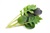 Kalebration Kale Mix