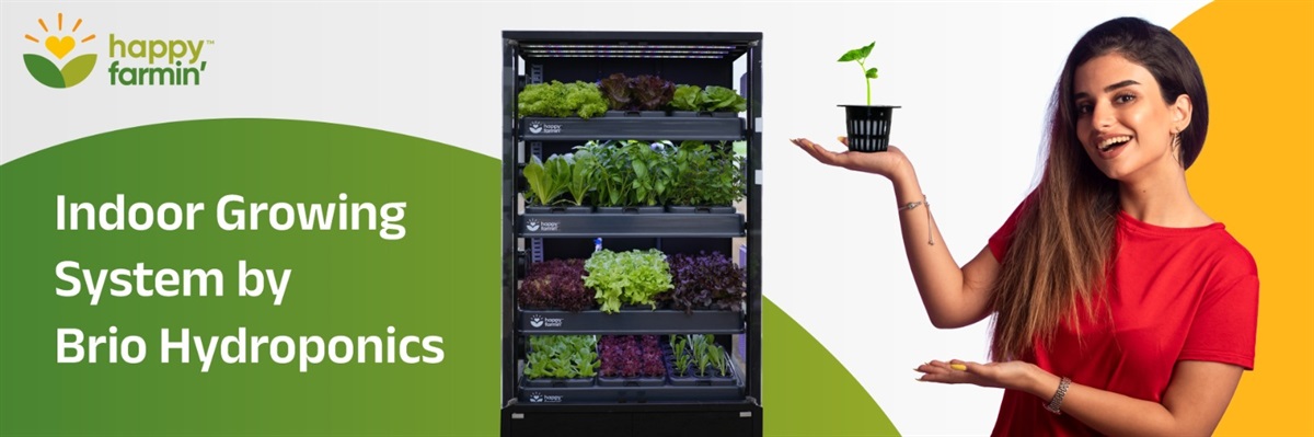 Indoor Growing System by Brio Hydroponics