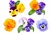 Viola Sorbet Formula Mix