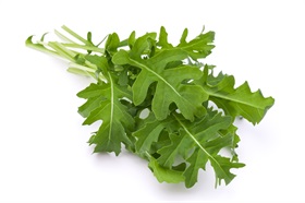 Rocket, Rucola, Colewort (Astro Arugula) Rocket, Rucola, Colewort (Astro Arugula)