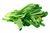 Green Giant Mustard