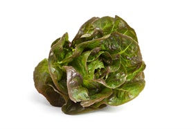 Cegolaine