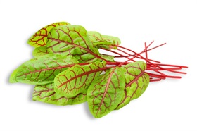 Red Veined Sorrel Red Veined Sorrel