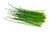 Chives