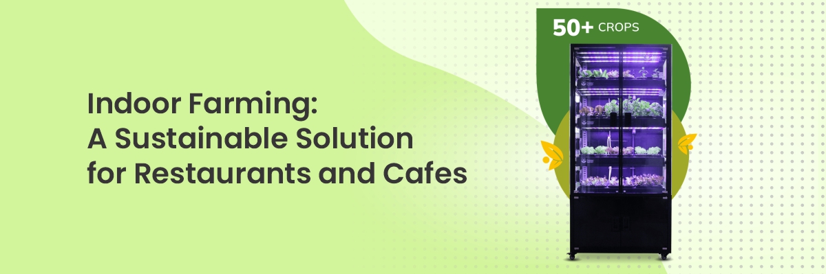 Indoor Farming: A Sustainable Solution for Restaurants and Cafes