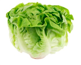 Butterhead (Rex)