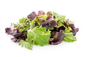 Elegance Greens Mix