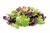 Elegance Greens Mix