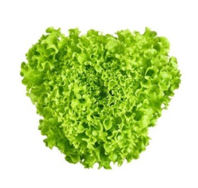 Green Sweet Crisp (Salanova)
