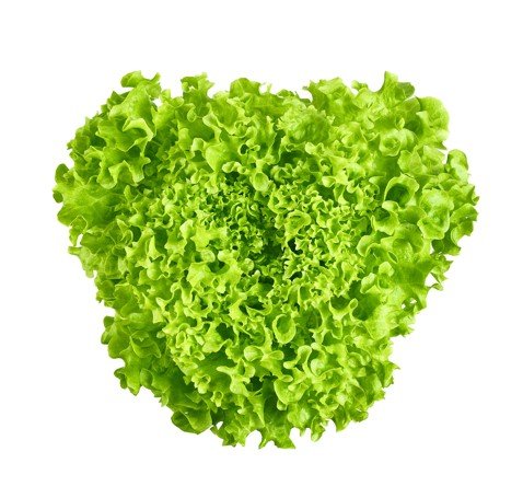 Green Sweet Crisp (Salanova)
