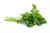 Parsley