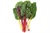 Swiss Chard