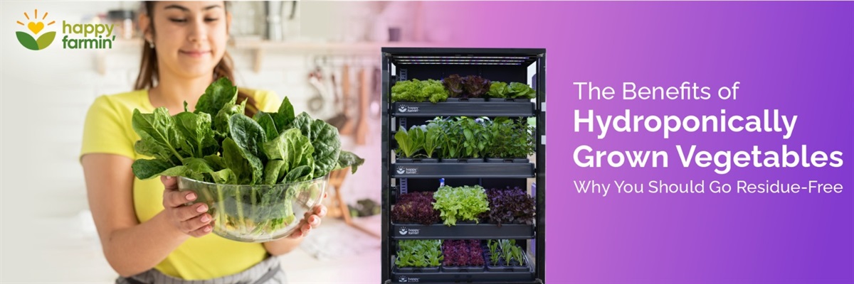 The Benefits of Hydroponically Grown Vegetables: Why You Should Go Residue-Free