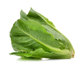 Chicarita