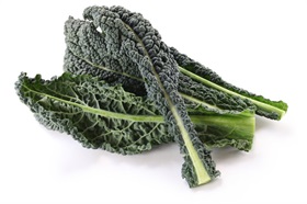 Black Magic Kale Black Magic Kale