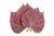 Chinese basil, Perilla mint (Red)