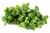 Syrian oregano (Za’atar)