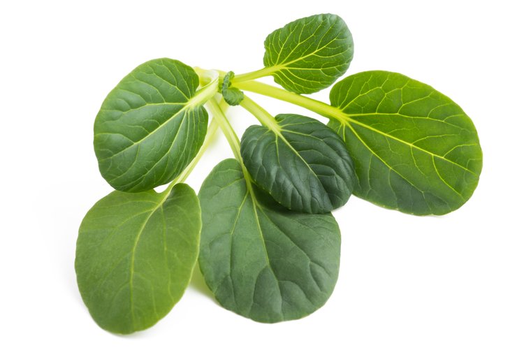 Tatsoi